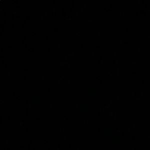 Meet your Posher, Brady